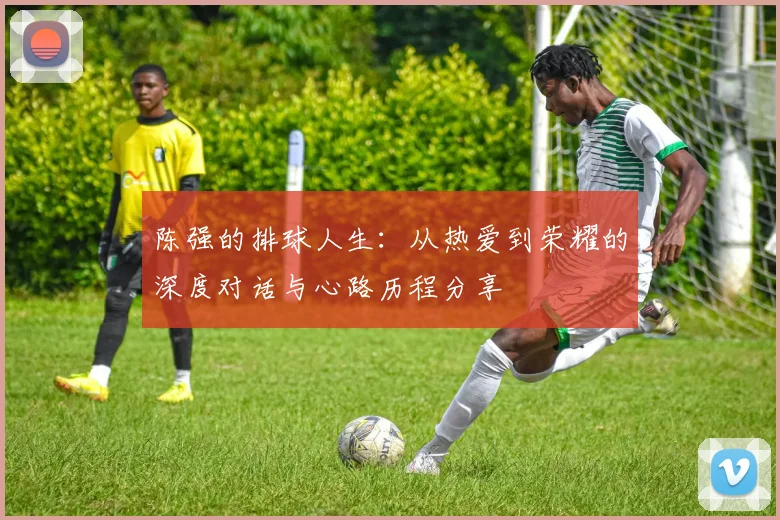 陈强的排球人生：从热爱到荣耀的深度对话与心路历程分享